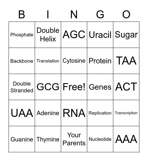 DNA Review Bingo Card