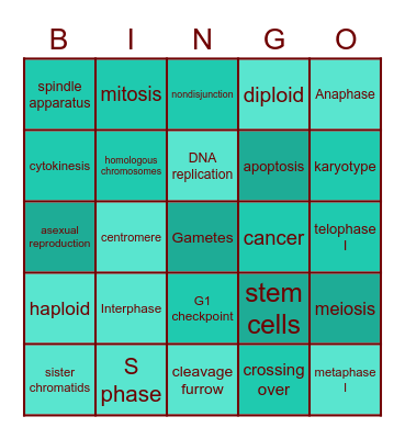 Cell Cycle Bingo Card