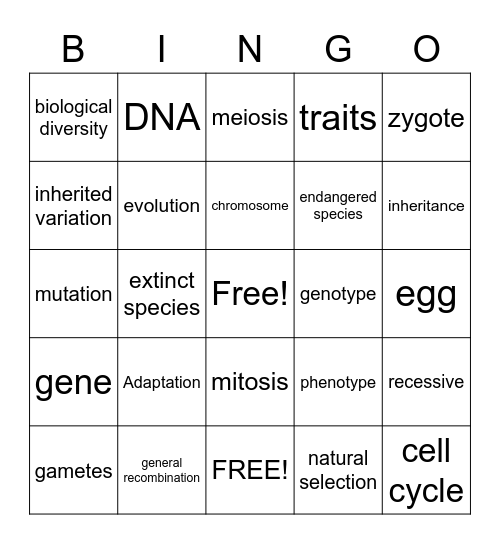 Evidence of Evolution/DNA Reproduction Bingo Card