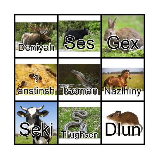 Tsilhqotin Animals Bingo Card