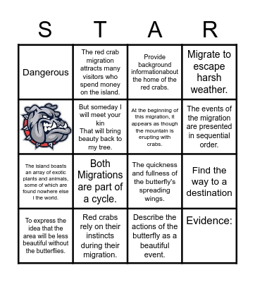 6th Grade STAAR Bulldog Camp Bingo Card