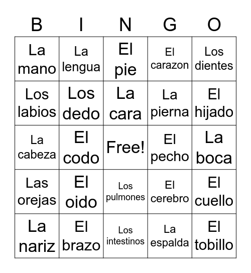 Partes Del Cuerpo Bingo Card