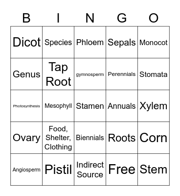 Plant Science Bingo Card