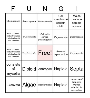 Fungi Bingo Card