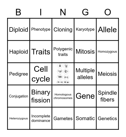 Unit 5 and 6 Vocabulary Bingo Card