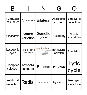 Unit 7 and 8 Vocabulary Bingo Card
