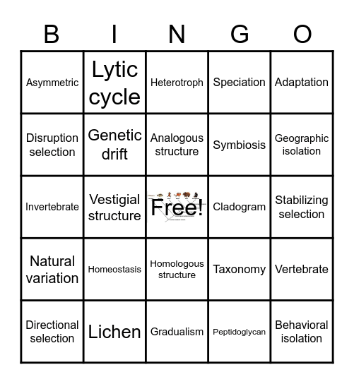 Unit 7 and 8 Vocabulary Bingo Card