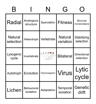 Unit 7 and 8 Vocabulary Bingo Card