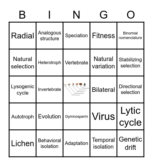Unit 7 and 8 Vocabulary Bingo Card