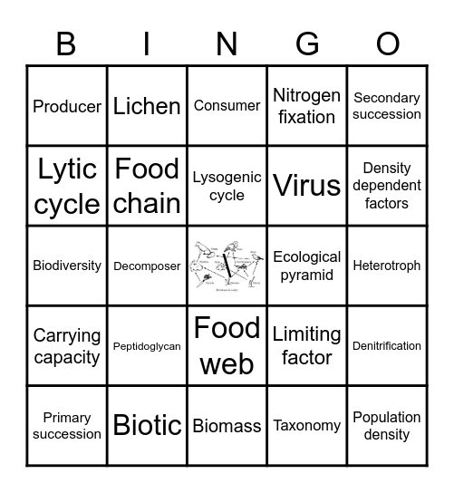 Unit 8 and 9 Vocabulary Bingo Card
