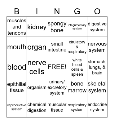 Human Body Systems Bingo Card