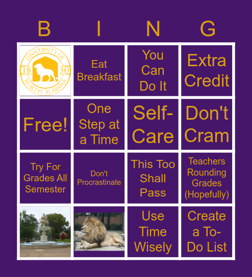Study Day Bingo Card