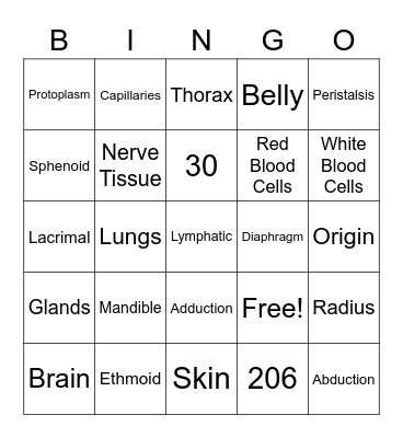 Anatomy and Physiology Bingo Card