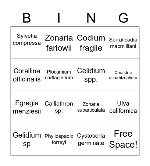 Algae BINGO! Bingo Card