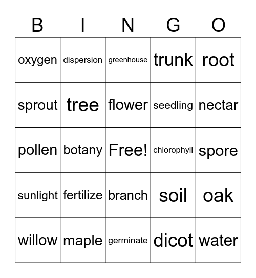 Plants/Seeds/Flowers Bingo Card