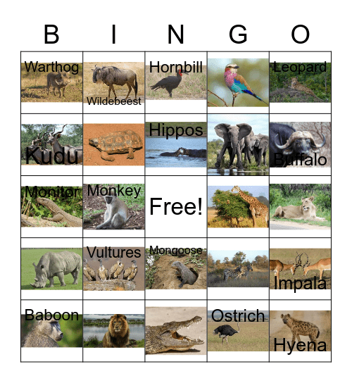 South Africa Safari Bingo Card