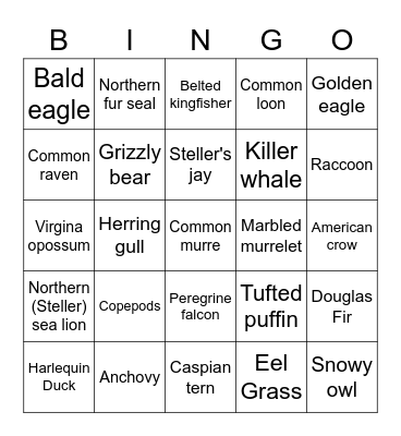 Salmon BINGO Card