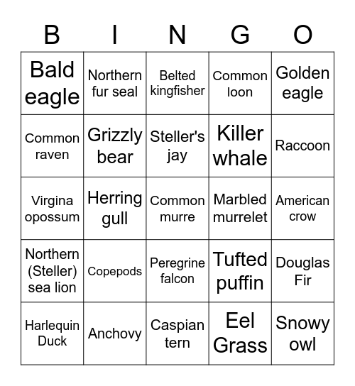 Salmon BINGO Card