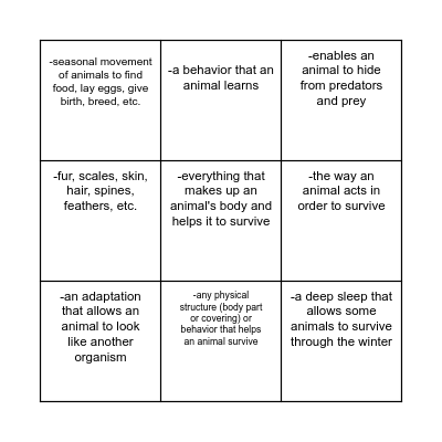 Animal Adaptations Bingo Card