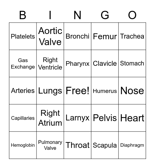 7th Health Bingo Card