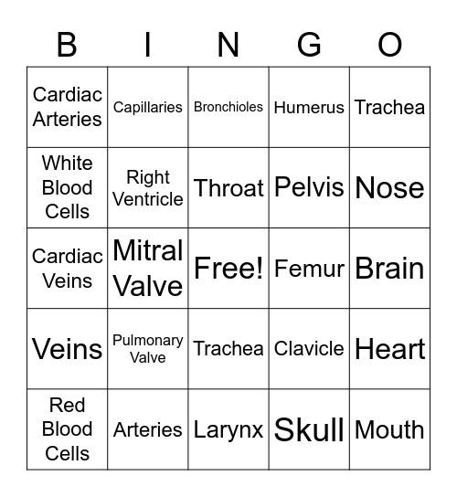 7th Health Bingo Card