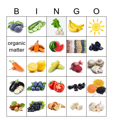 Nutrition Bingo Card