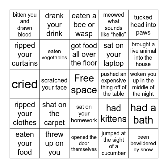 things your cat has done Bingo Card