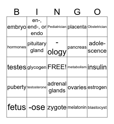 Health 1.1 Bingo Card