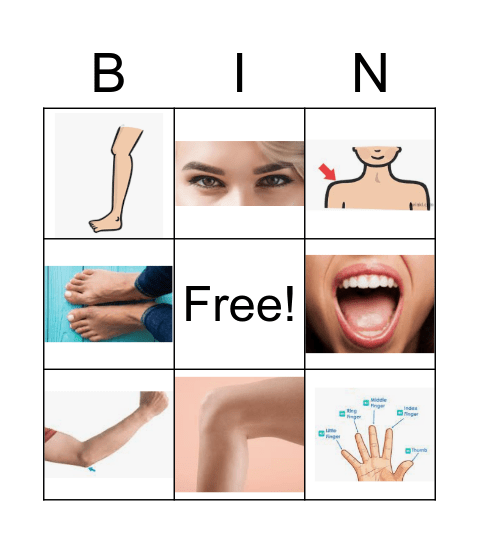 BODY PARTS Bingo Card