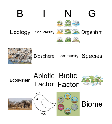 Ecology Bingo Card