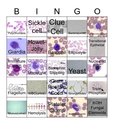 Lab Bingo! Bingo Card