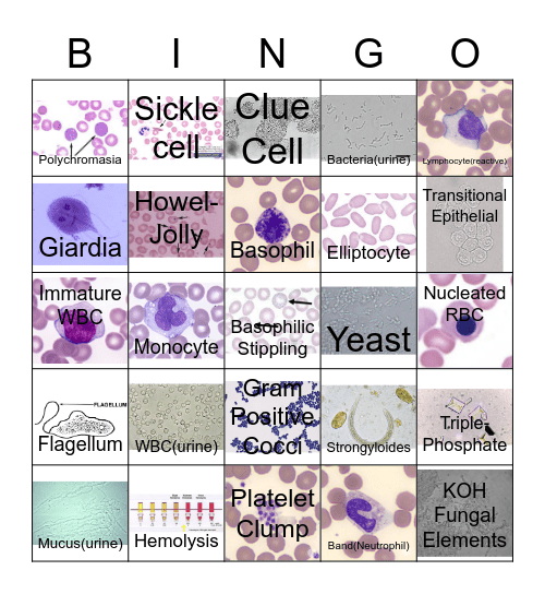 Lab Bingo! Bingo Card