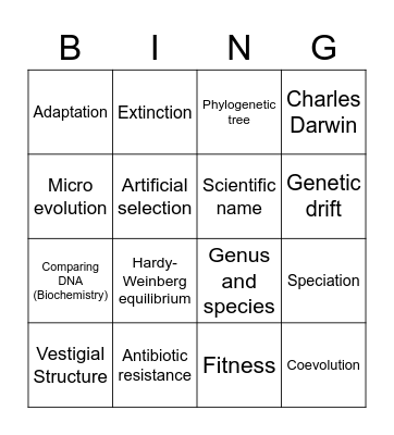 Evolution Bingo Card