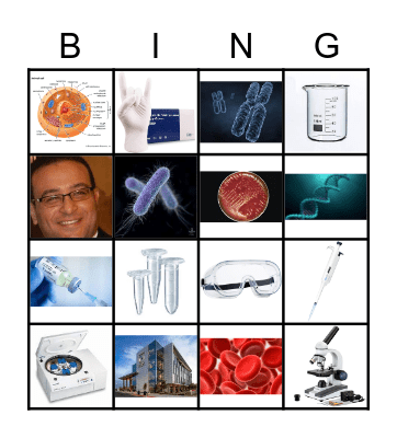 Lab Bingo Card