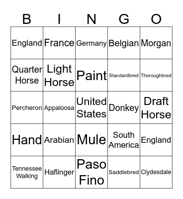 Horse Breeds Bingo Card