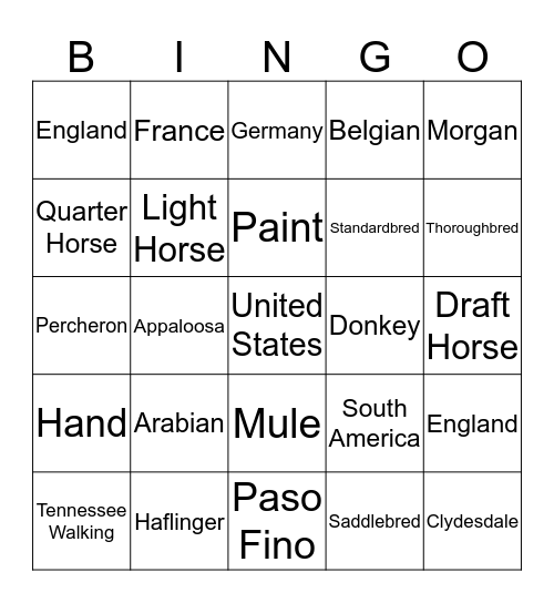 Horse Breeds Bingo Card
