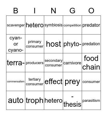 Producer-Consumer  Bingo Card