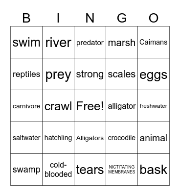 Crocodilians Bingo Card