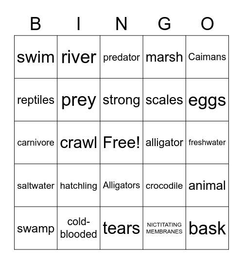 Crocodilians Bingo Card