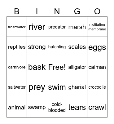 Crocodiles Bingo Card