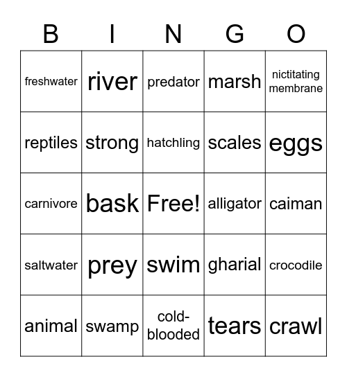 Crocodiles Bingo Card