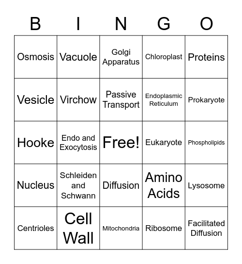 Cell Structure and Function Bingo Card