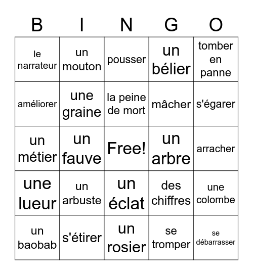 Le Petit Prince: chapitres 1-5 Bingo Card