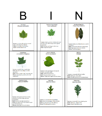 Tree Bingo Card