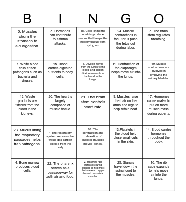 Body System BINGO Card