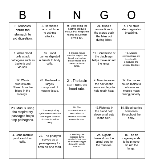 Body System BINGO Card