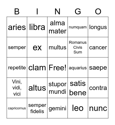 Latin Bingo 10-20 Bingo Card