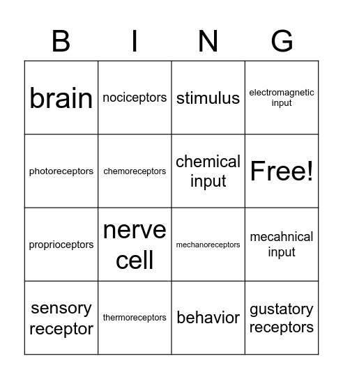Sensory Receptors Bingo Card