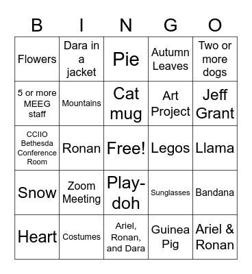 Ariel, Ronan, & Dara Huzzah! Bingo Card