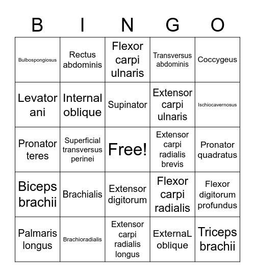 Musco 2 Bingo Card